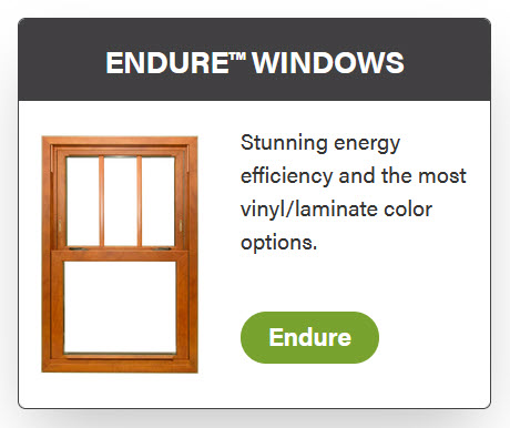 ProVia Endure Windows